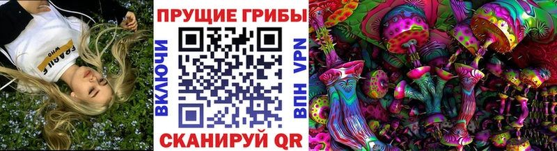 Псилоцибиновые грибы Cubensis Каргополь