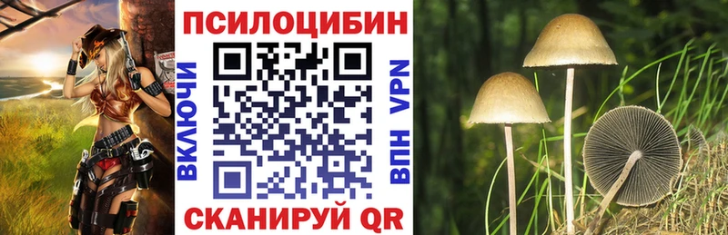 Галлюциногенные грибы MAGIC MUSHROOMS  Каргополь 
